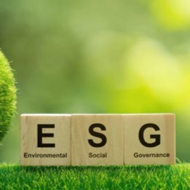 ESG audit